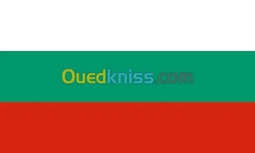 Traduction Roumain français Arabe