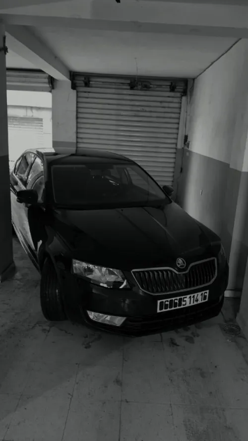 Skoda Octavia 2014 Ambiente