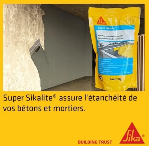 Hydrofuge en poudre Super Sikalite 01 kg