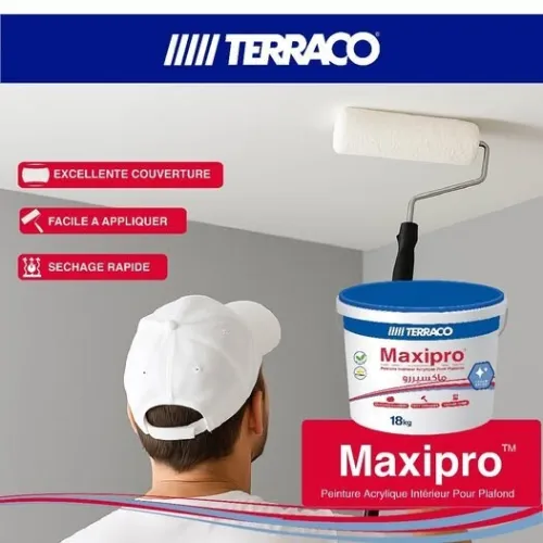 Peinture Acrylique Intérieur et Extérieur (KNDECO, TERRACO, SILKCOAT)