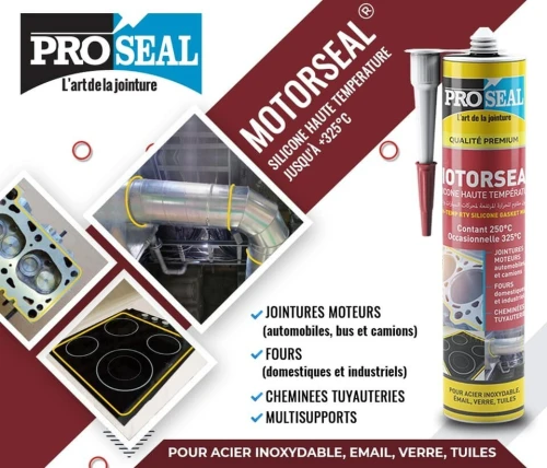 Silicones et Mastics Colle Multi-Usages