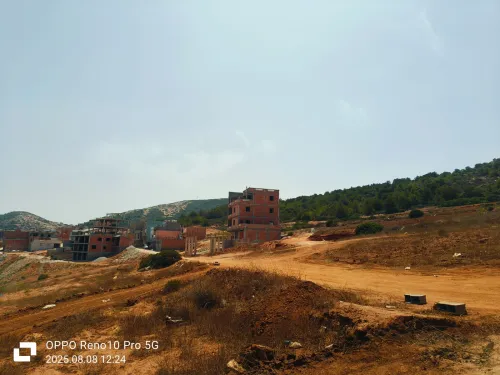 Vente Terrain Tlemcen Honaine