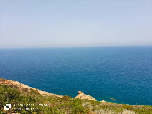 Vente Terrain Tlemcen Honaine