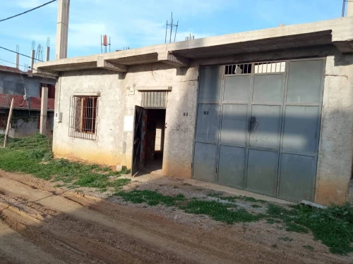 Vente Terrain Blida Chiffa