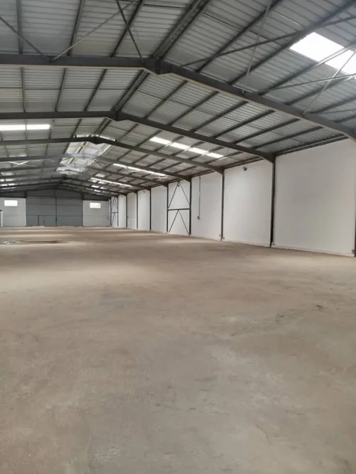 Location Hangar - Usine Blida Blida