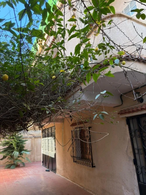 Vente Villa Alger Ouled chebel