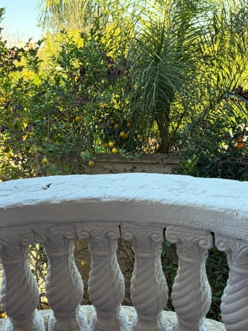 Vente Villa Alger Ouled chebel