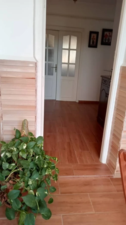 Vente Appartement F3 Alger Birkhadem
