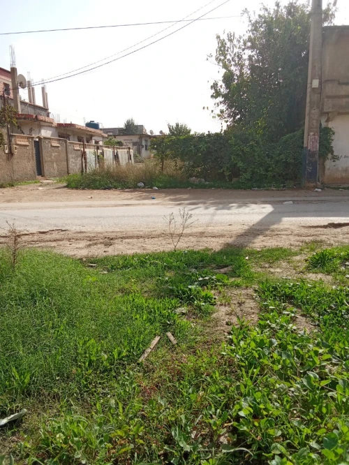Vente Terrain Boumerdès Hammedi
