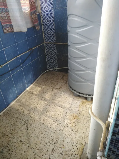 Location Appartement F4 Tipaza Kolea