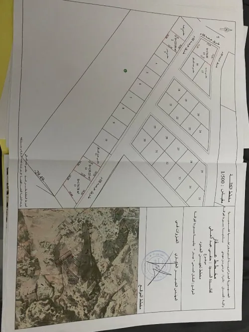 Vente Terrain Tlemcen Msirda fouaga