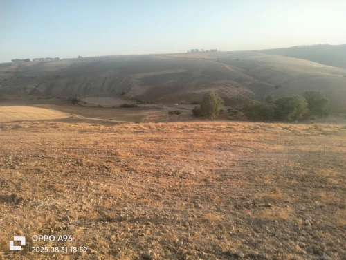 Vente Terrain Tlemcen Bensekrane