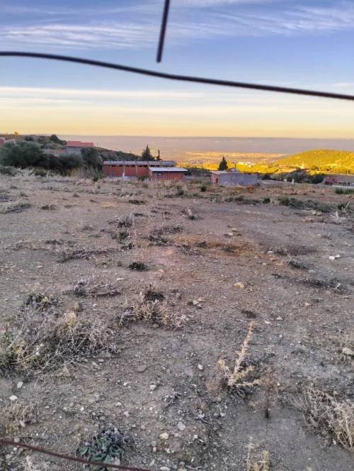 Vente Terrain Blida Ain romana