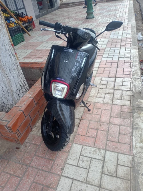Vms Coxi 2021