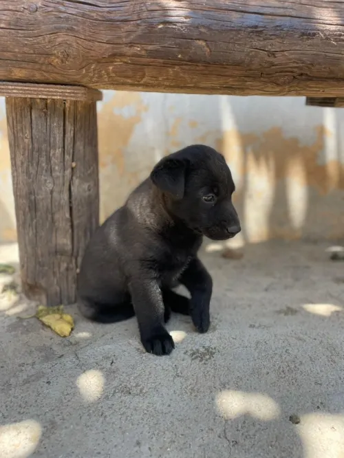 Disponible 2 malle Blu Mexicain âge 1 Mois 10 jours