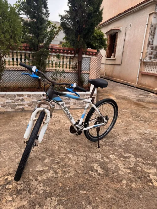 Vélo HAM 24 puce 