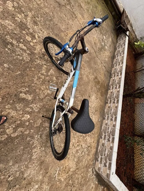 Vélo HAM 24 puce 