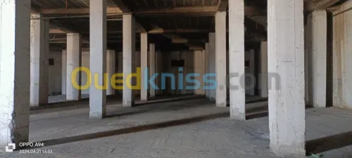 Location Hangar Alger Oued smar