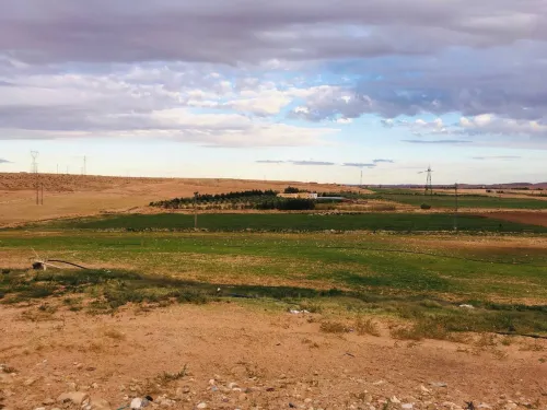 Vente Terrain Agricole Djelfa Tadmit