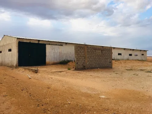Vente Terrain Agricole Djelfa Tadmit