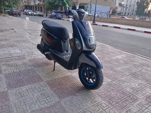 Estat X Vms 2024