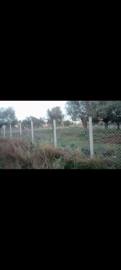 poteau clôture en béton أعمدة خرسانية للتسييج