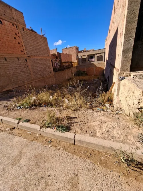 Vente Terrain Tlemcen Tlemcen