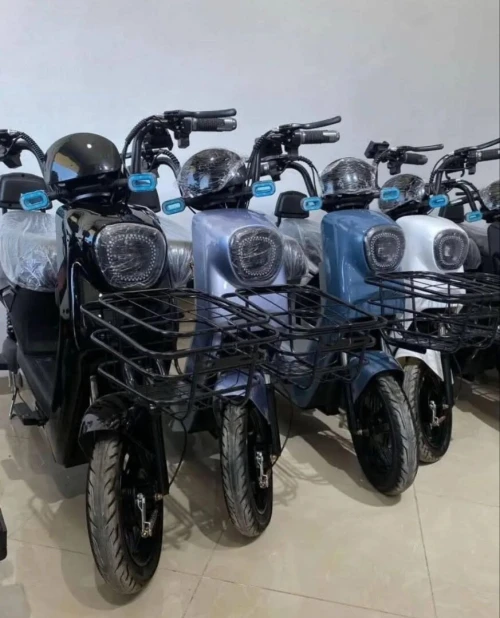 Dora Dora blue pro max 2025