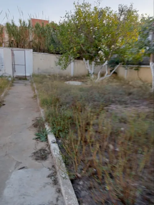 Vente Terrain Alger Saoula
