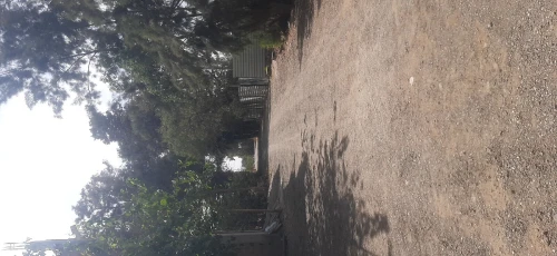 Vente Terrain Alger Baraki