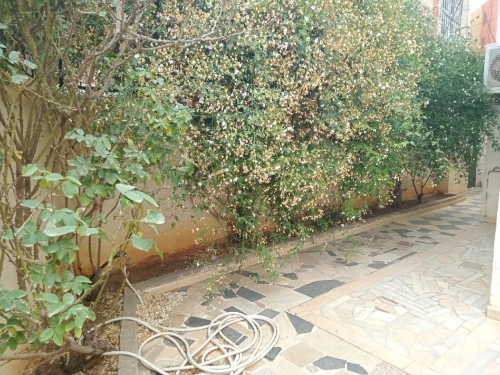 Location Villa Alger Said hamdine