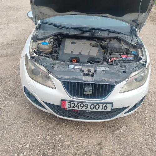 Seat Ibiza 2012 Loca