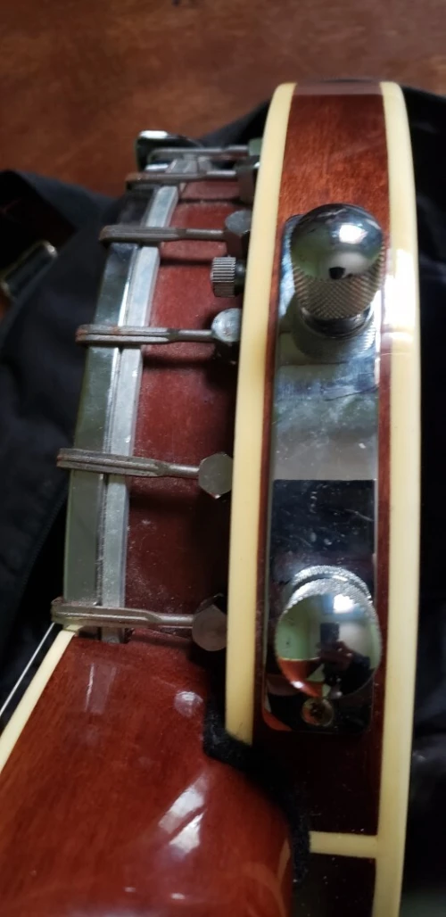 Banjo 6cords