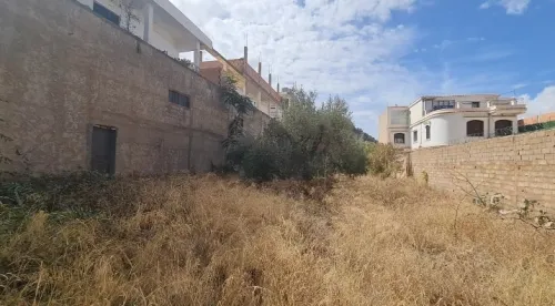 Vente Terrain Tlemcen Tlemcen