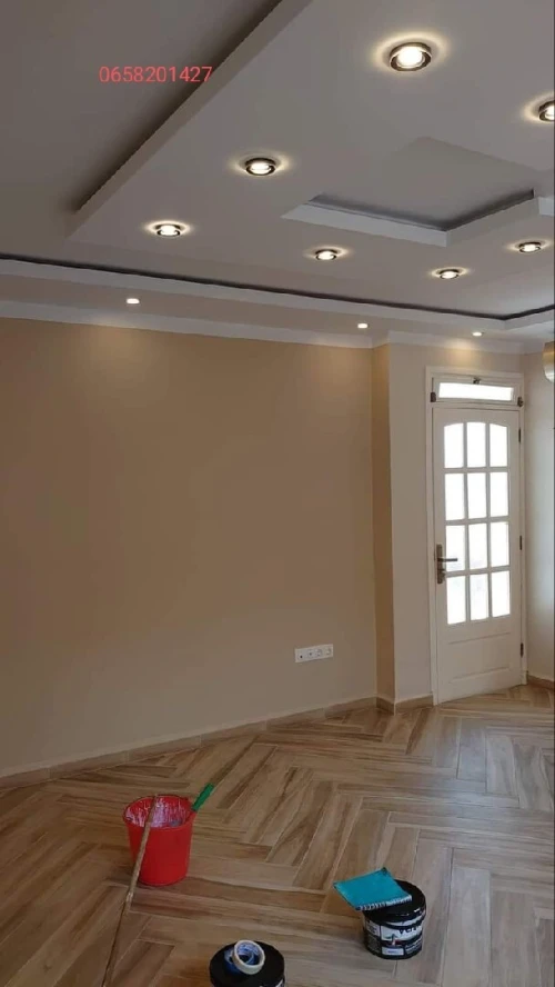 Peintre professionnel 