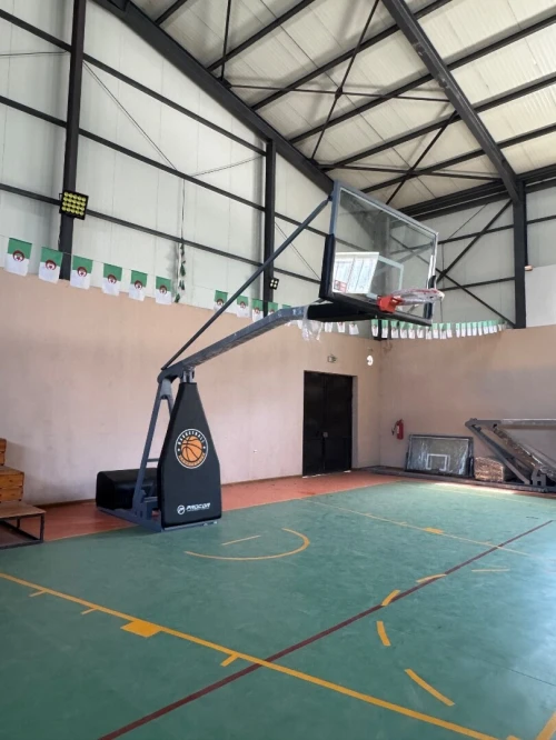 Paire de Panier de basket ball