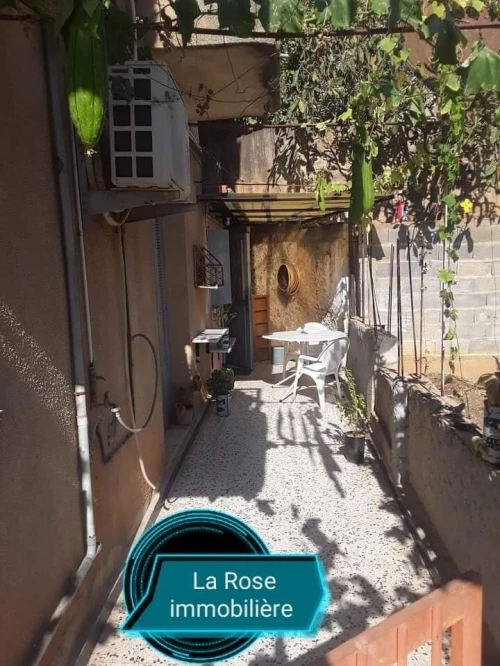 Location Appartement Studio Skikda Skikda