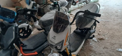 Wing Xmax 2026