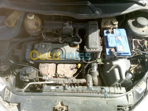 Peugeot 206 طويلة شابة 2007 