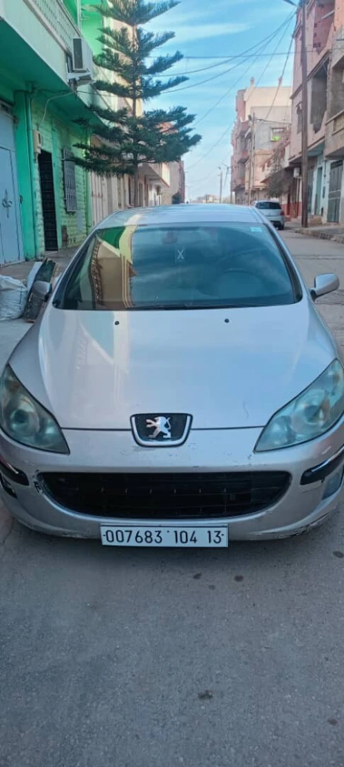 Peugeot 407 2004 407