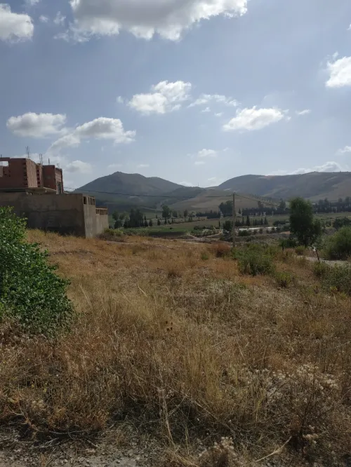 Vente Terrain Mila Ferdjioua