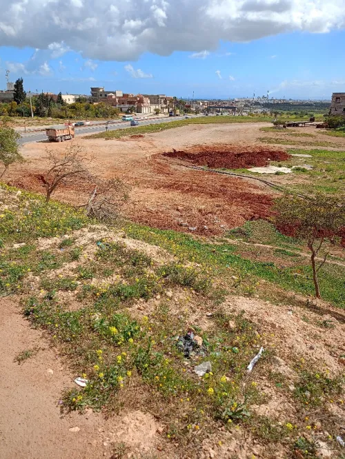 Vente Terrain Oran Hassi mefsoukh
