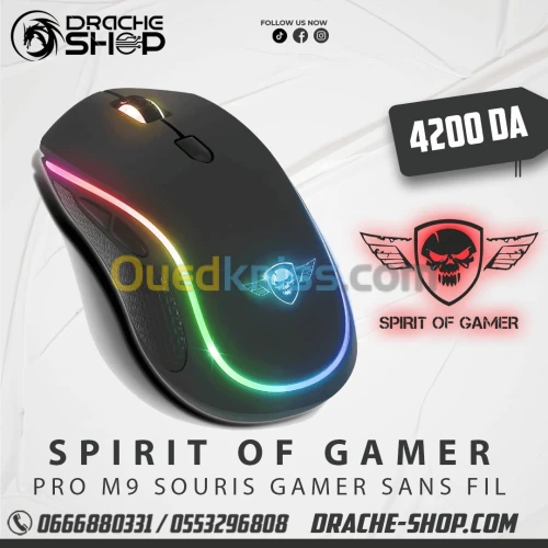 Souris Gamer sans fil Pro M9