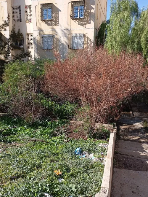 Vente Appartement F3 Constantine El khroub