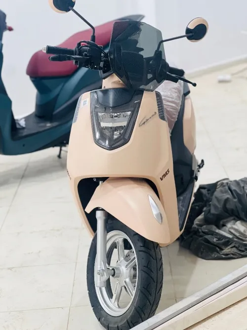 Vms Gemma 2025