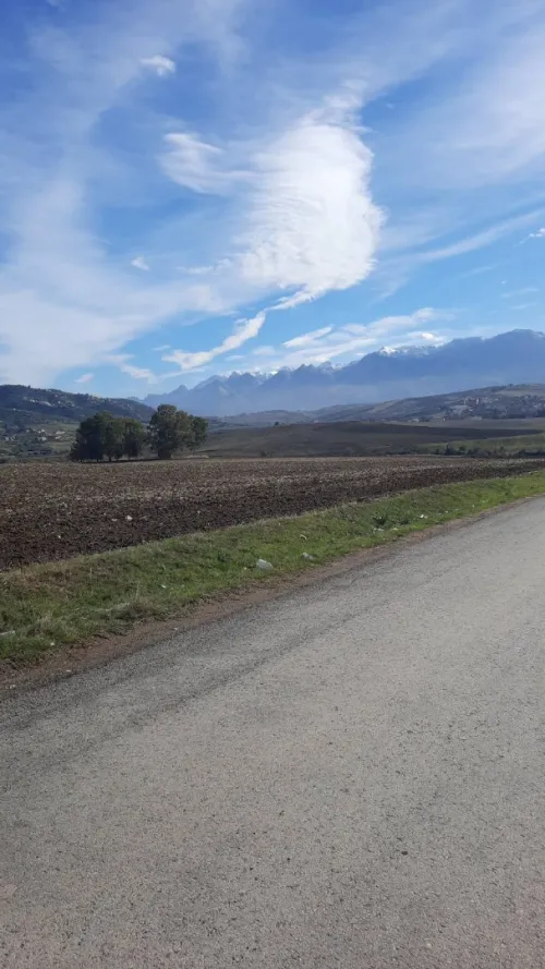 Vente Terrain Agricole Tizi ouzou Ain zaouia