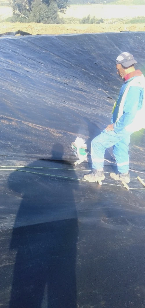  Geomembrane