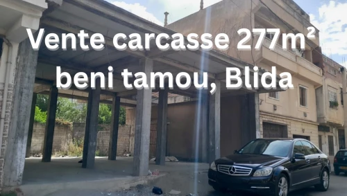 Vente Terrain Blida Beni tamou
