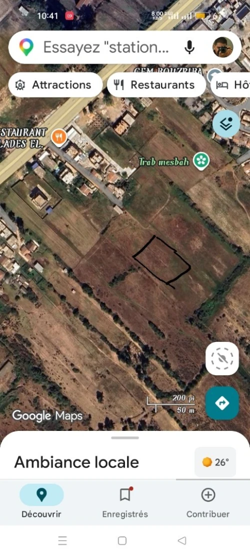 Vente Terrain El Tarf Ain el assel