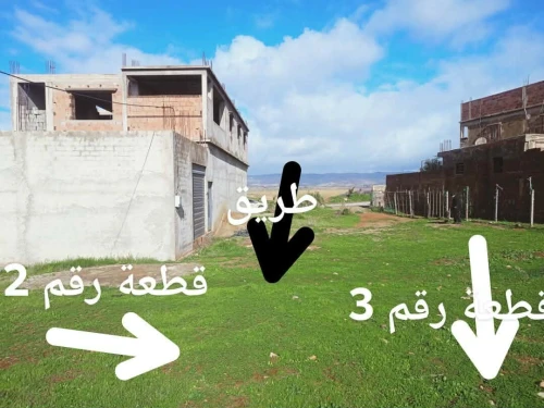 Vente Terrain Chlef Chlef